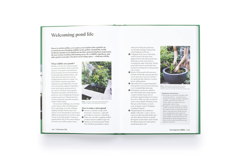 A Greener Life: Discover the Joy of Mindful and Sustainable Gardening - Paxton Gate