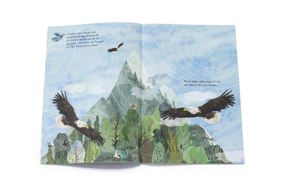 Big Sticker Book of Birds - Paxton Gate