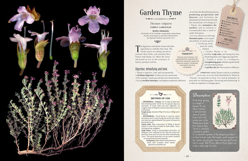 100 Plants That Heal Book - Paxton Gate