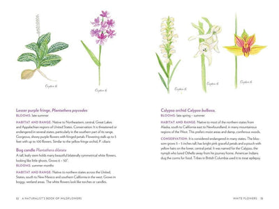 A Naturalist's Book of Wildflowers - Paxton Gate