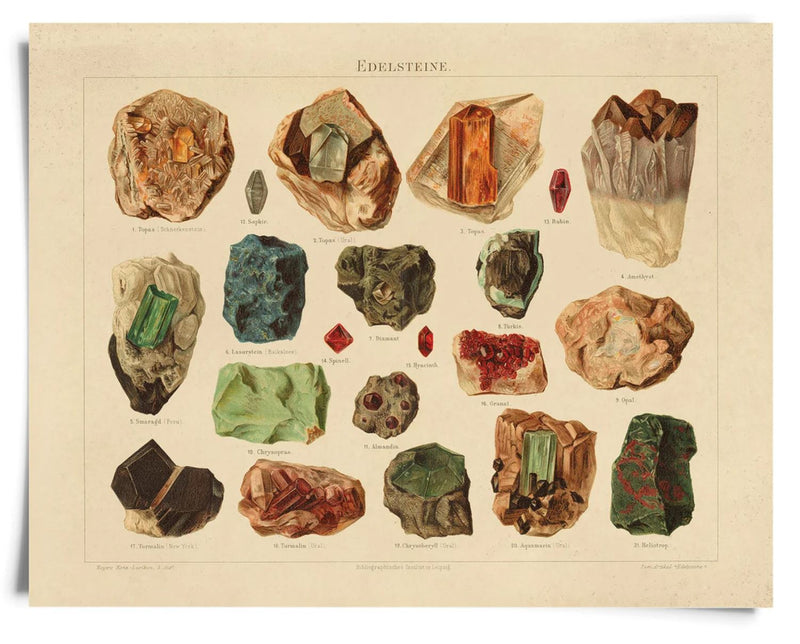 Vintage Natural History Minerals Print - Paxton Gate