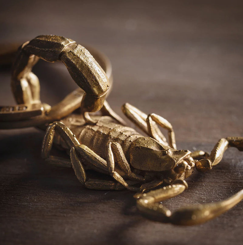 Scorpion Brass Pendant with Ring - Paxton Gate