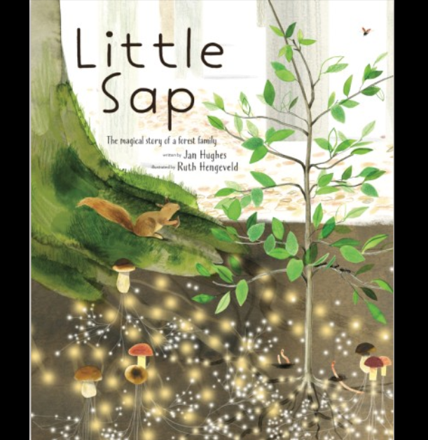 Little Sap The Magical Story of a Forest Family - Paxton Gate