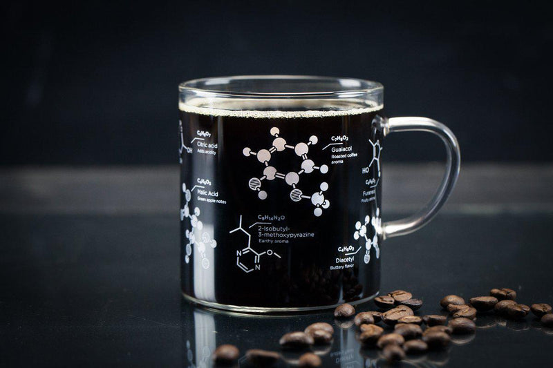 The Science of Coffee Mug - Paxton Gate
