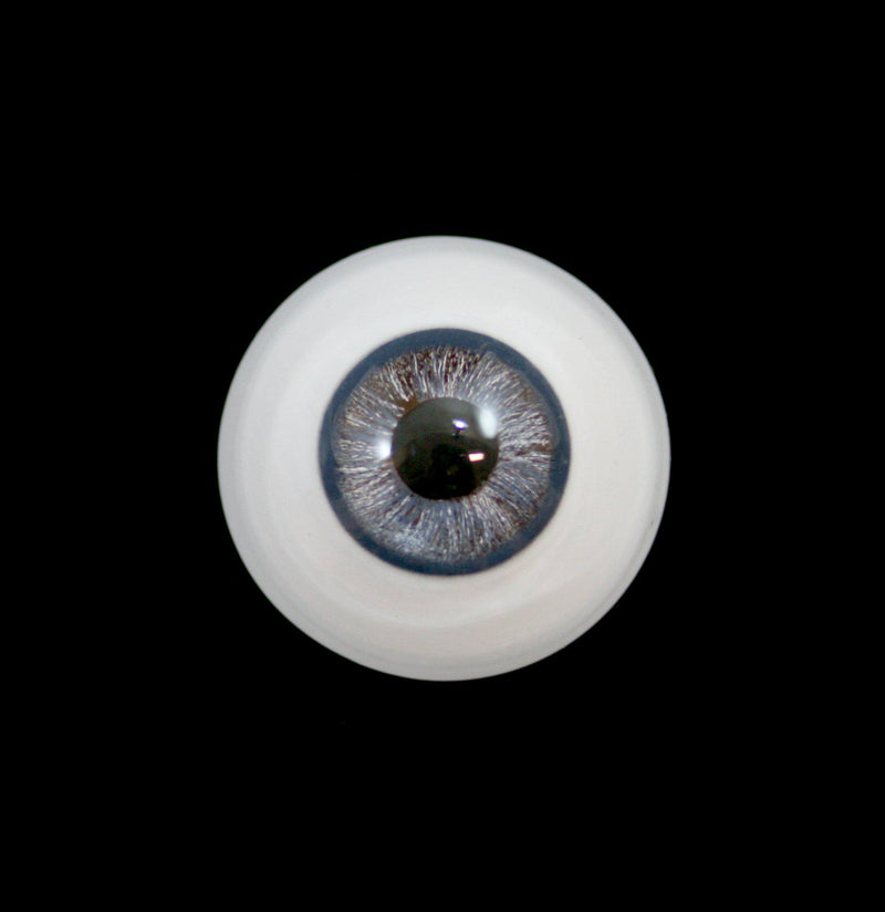 Glass Human Taxidermy Eye - Paxton Gate