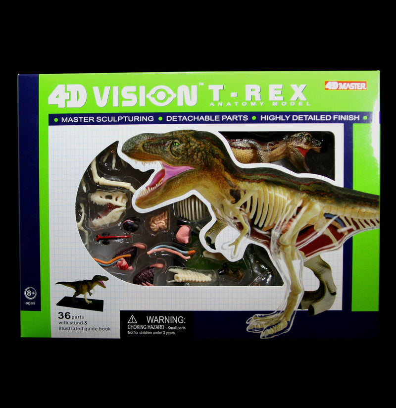 4D Vision T-Rex Model - Paxton Gate