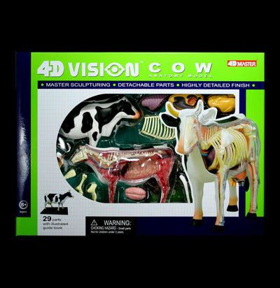 4D Vision Cow Model - Paxton Gate