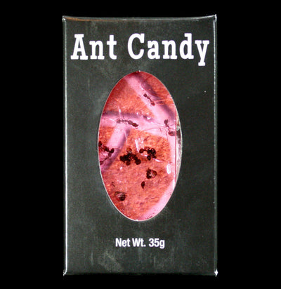 Ant Candy - Paxton Gate