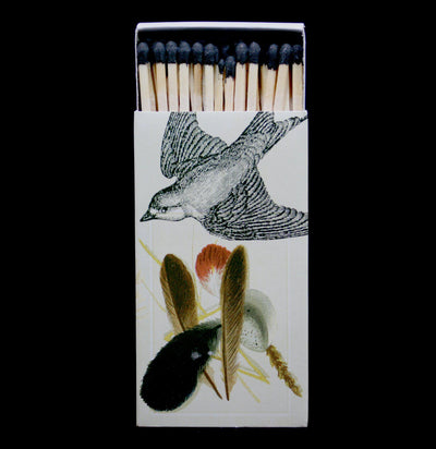Sparrows & Specimens Matches - Paxton Gate