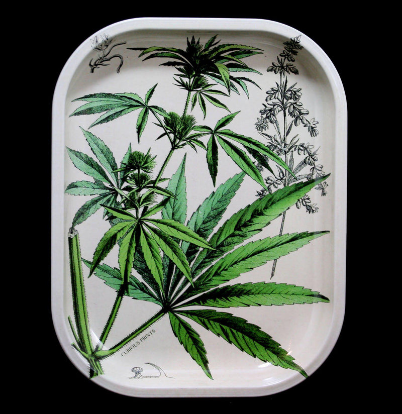 Cannabis Print Metal Tray - Paxton Gate