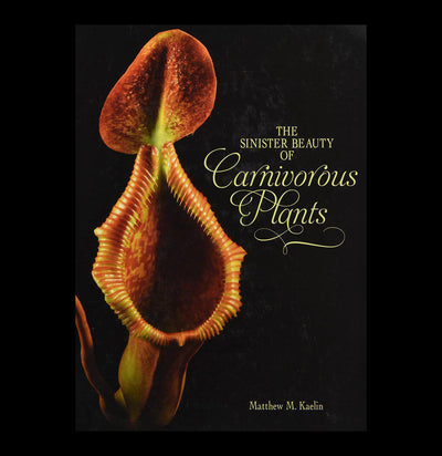 The Sinister Beauty of Carnivorous Plants - Paxton Gate