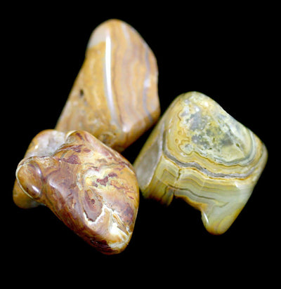 Tumbled Yellow Crazy Lace Agate - Paxton Gate