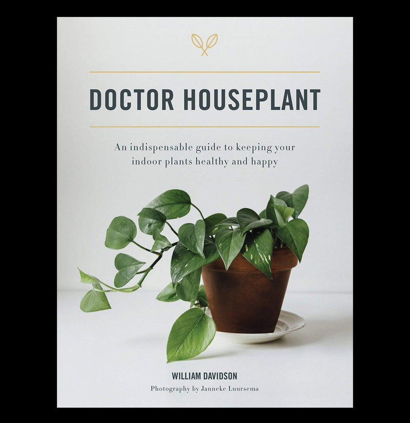 Doctor Houseplant - Paxton Gate