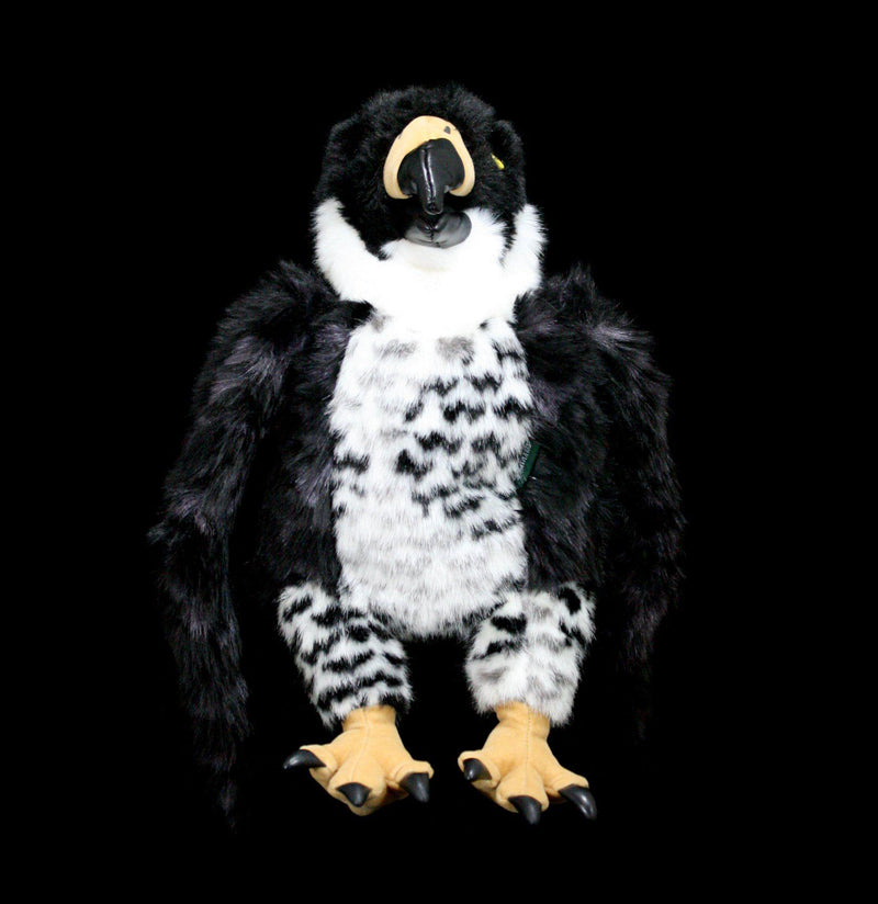 Peregrine Falcon Puppet - Paxton Gate