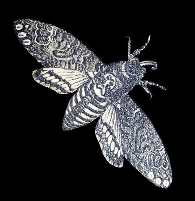 Birch Wood Death's Head Moth Magnet - Paxton Gate