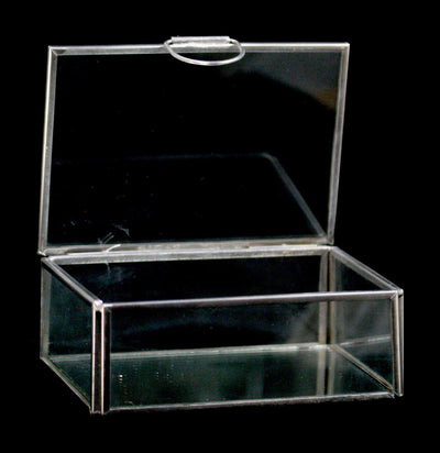 Rectangular Glass box with hinged lid - Paxton Gate