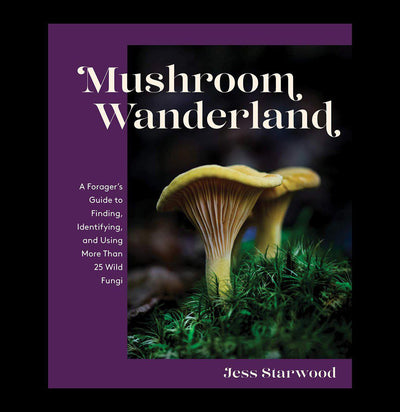 Mushroom Wanderland - Paxton Gate