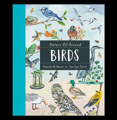 Nature All Around: Birds - Paxton Gate