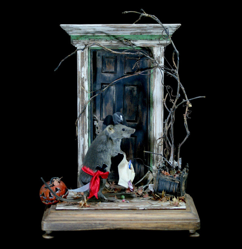 Trick-or-Treating Pirate Taxidermy Mouse - Paxton Gate