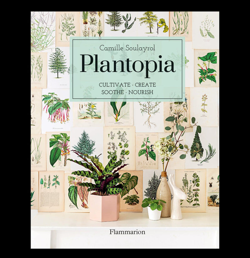 Plantopia - Paxton Gate