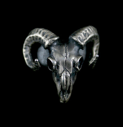 Sterling Silver Ram Skull Ring - Paxton Gate