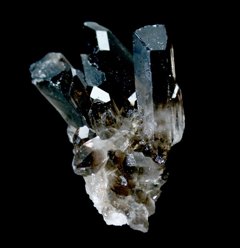 Smokey Quartz Crystal Cluster - Paxton Gate
