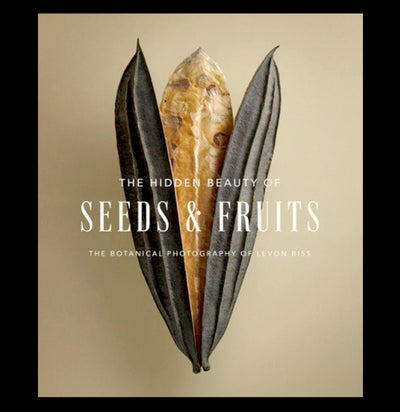 The Hidden Beauty of Seeds & Fruits - Paxton Gate