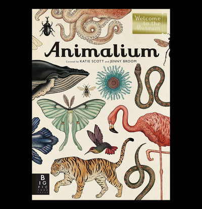 Animalium: Welcome to the Museum - Paxton Gate