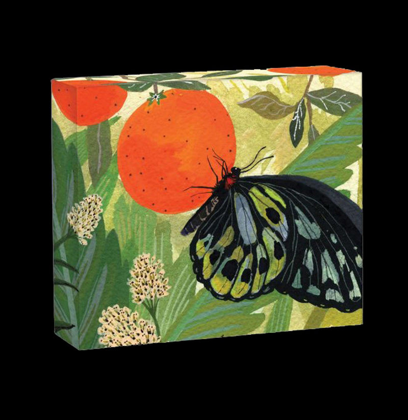 Butterflies Quicknotes Greeting Cards - Paxton Gate