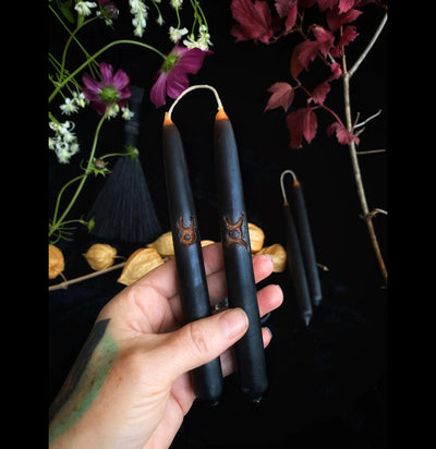 Specialty Black Dipped Witches Wand - Paxton Gate