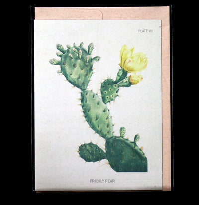 Prickly Pear Cactus Greeting Card - Paxton Gate
