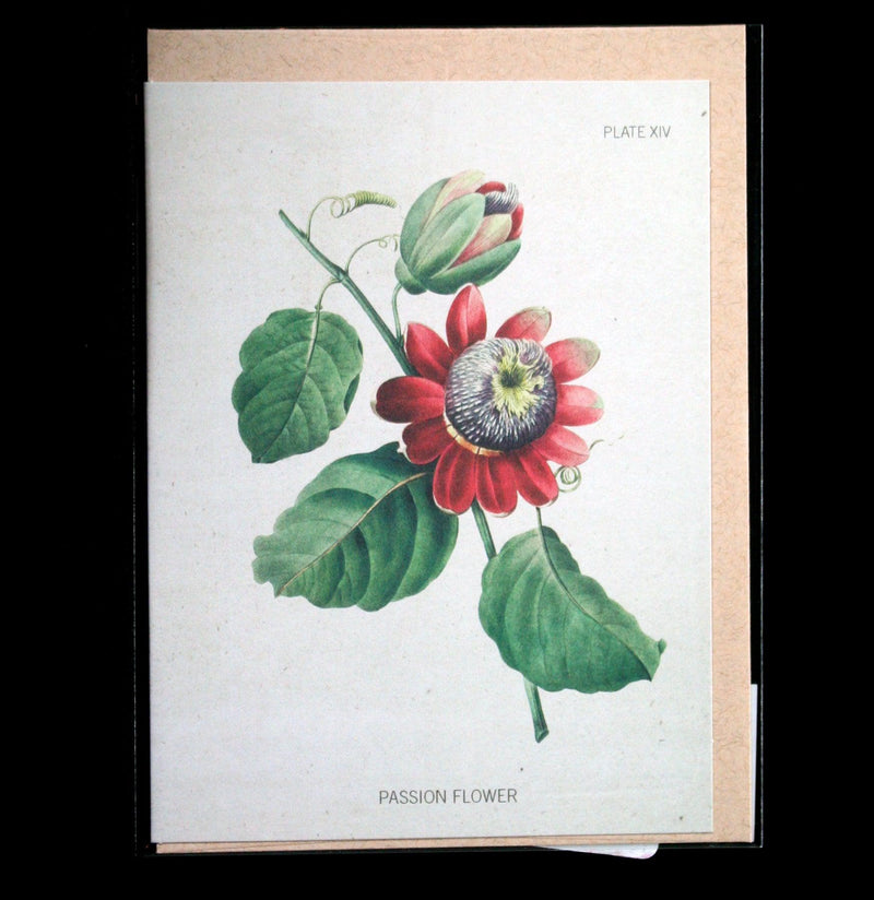 Passion Flower Specimen Greeting Card - Paxton Gate