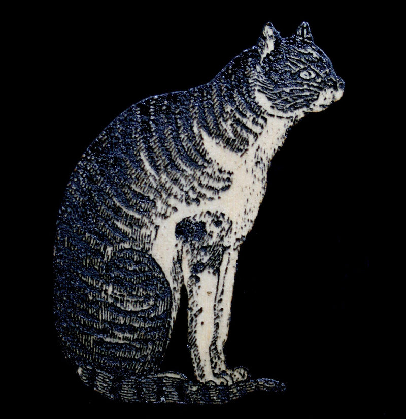 Birch Wood Cat in Profile Magnet - Paxton Gate