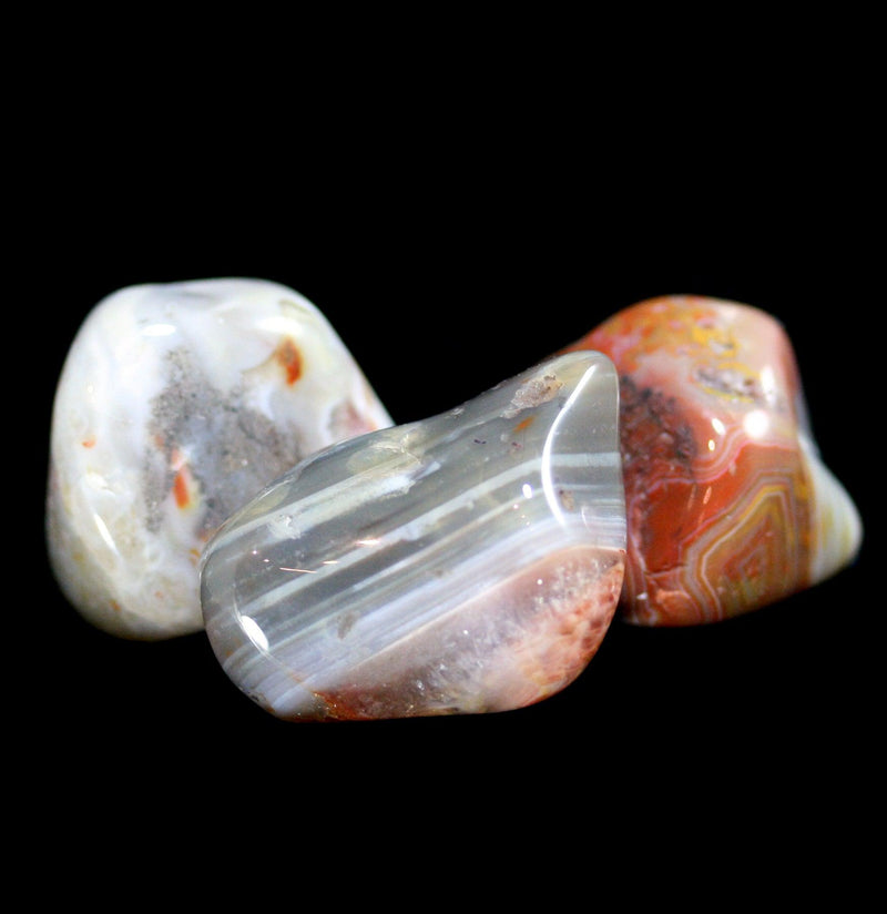 Tumbled Crazy Lace Agate Stone - Paxton Gate