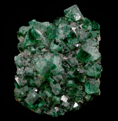 Emerald Peaks Fluorite Crystal Cluster - Paxton Gate
