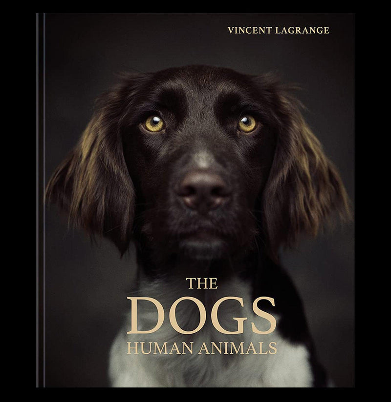 The Dogs: Human Animals - Paxton Gate