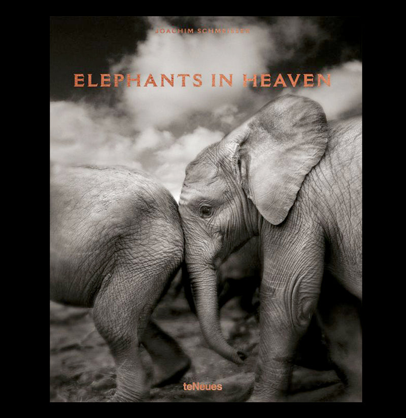 Elephants In Heaven - Paxton Gate