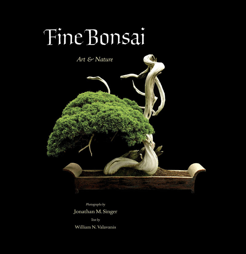 Fine Bonsai: Art & Nature - Paxton Gate