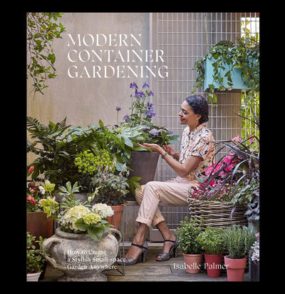 Modern Container Gardening - Paxton Gate