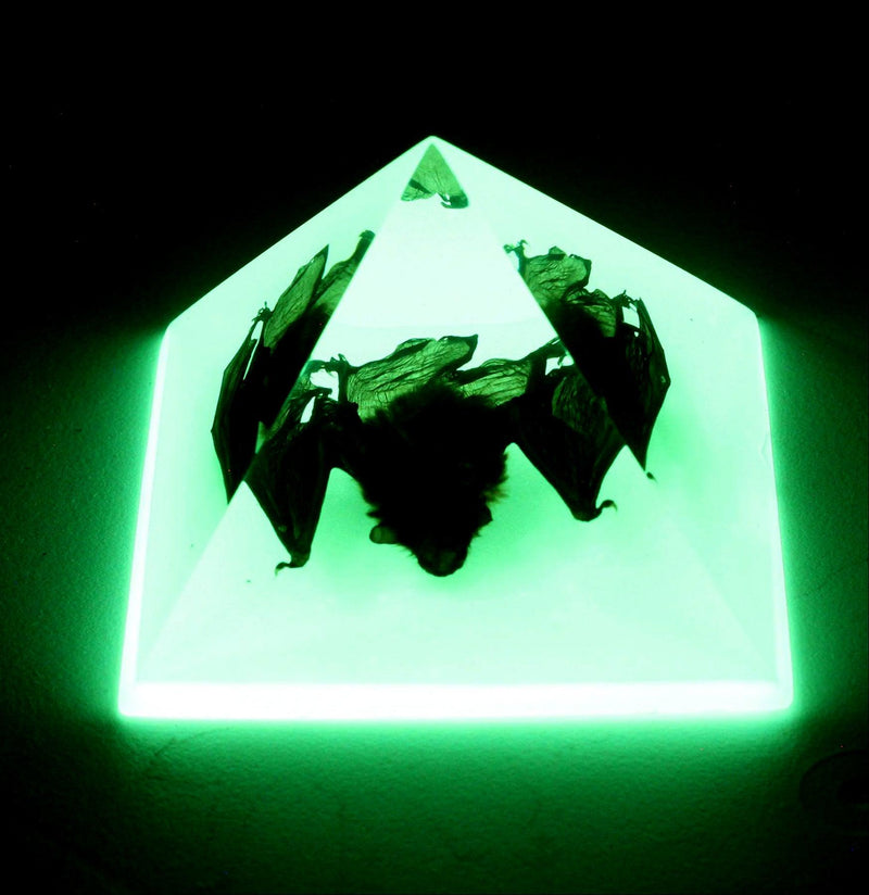Glow in the Dark Bat Pyramid - Paxton Gate