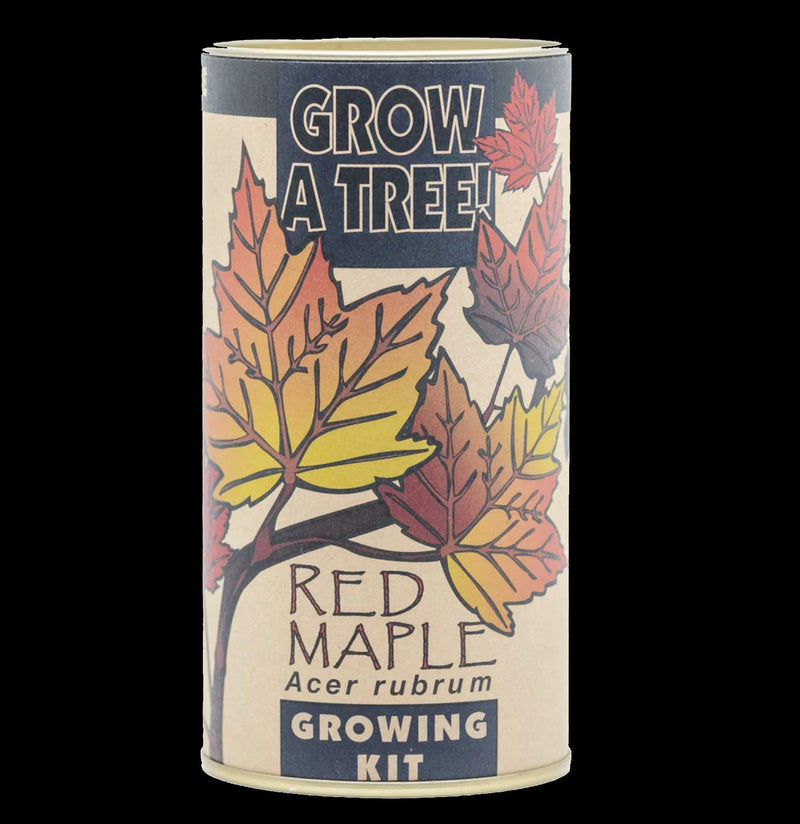 Red Maple Seed Grow Kit - Paxton Gate