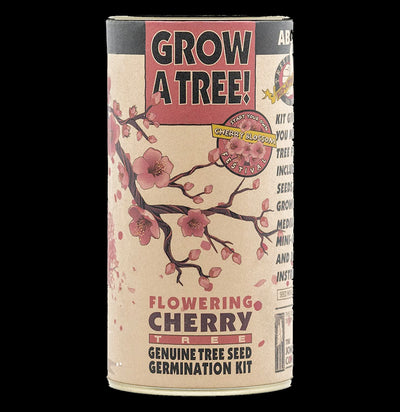 Flowering Cherry Blossom Seed Grow Kit - Paxton Gate