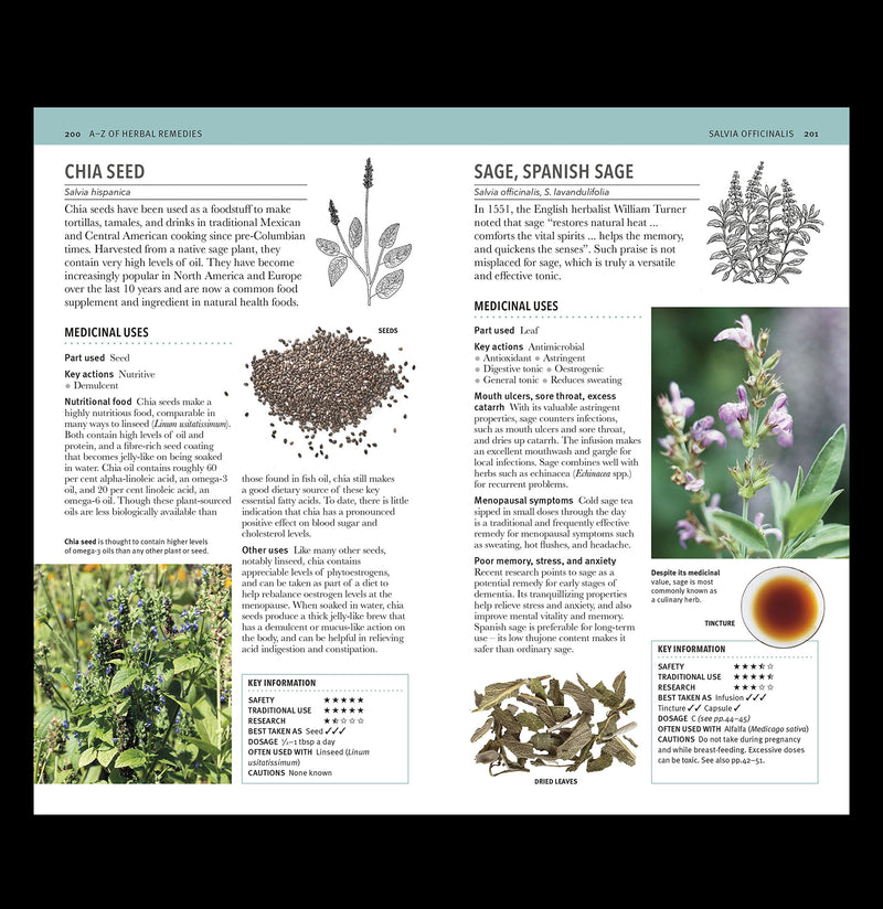 Herbal Remedies Handbook - Paxton Gate