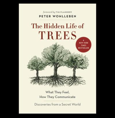 The Hidden Life of Trees: What They Feel, How They Communicate - Paxton Gate