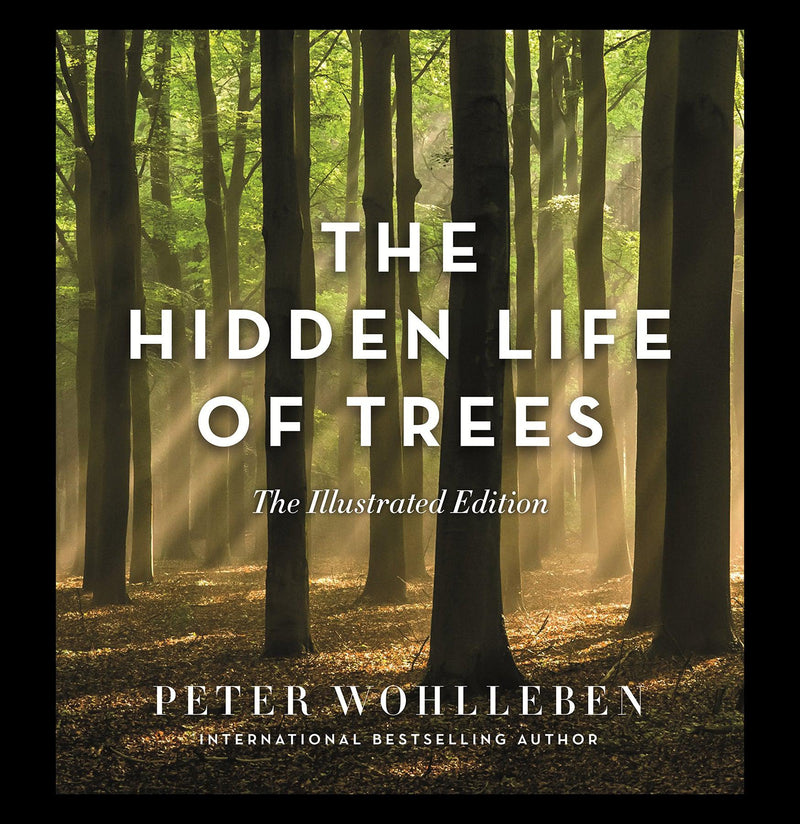 The Hidden Life of Trees: Illustrated Edition - Paxton Gate