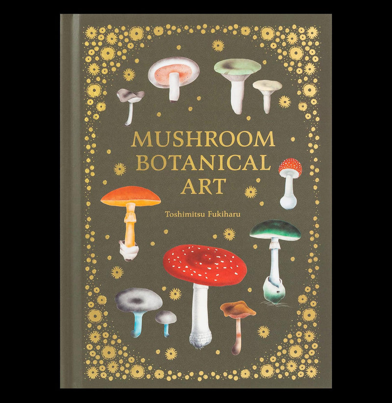 Mushroom Botanical Art - Paxton Gate