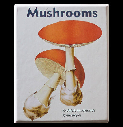 Mushroom: An Abbeville Notecard Set - Paxton Gate