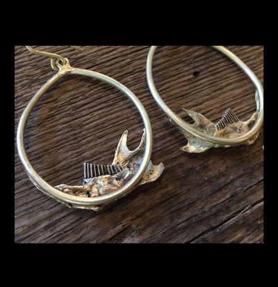 Muskrat Jawbone Teardrop Earrings - Paxton Gate