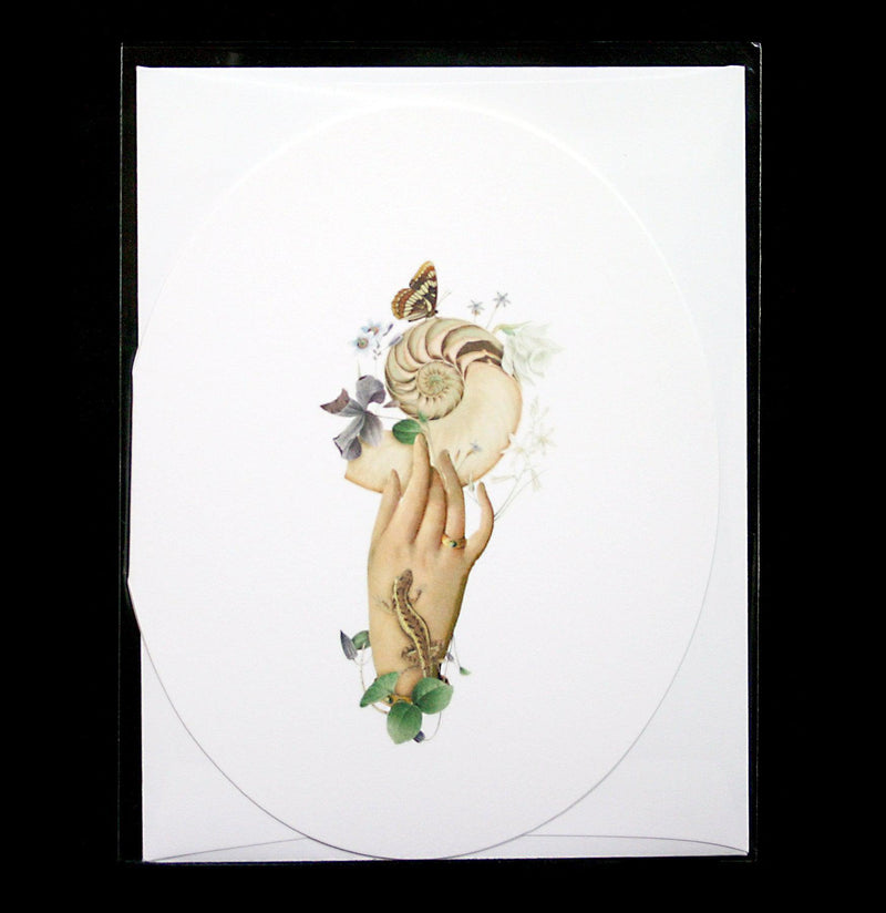 Nautilus Oval Greeting Card - Paxton Gate