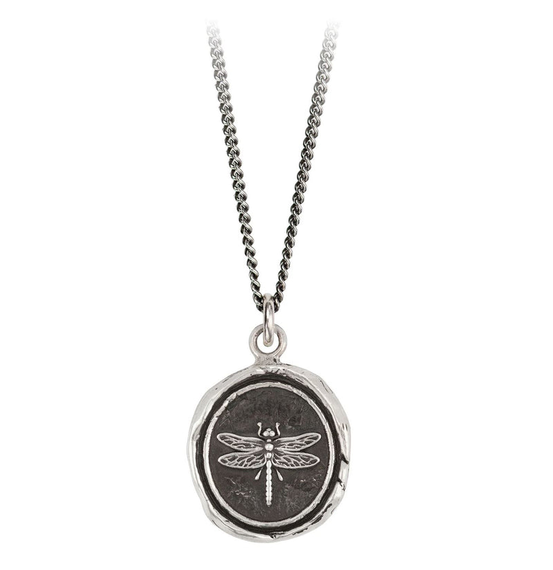 Dragonfly Talisman Necklace - Paxton Gate